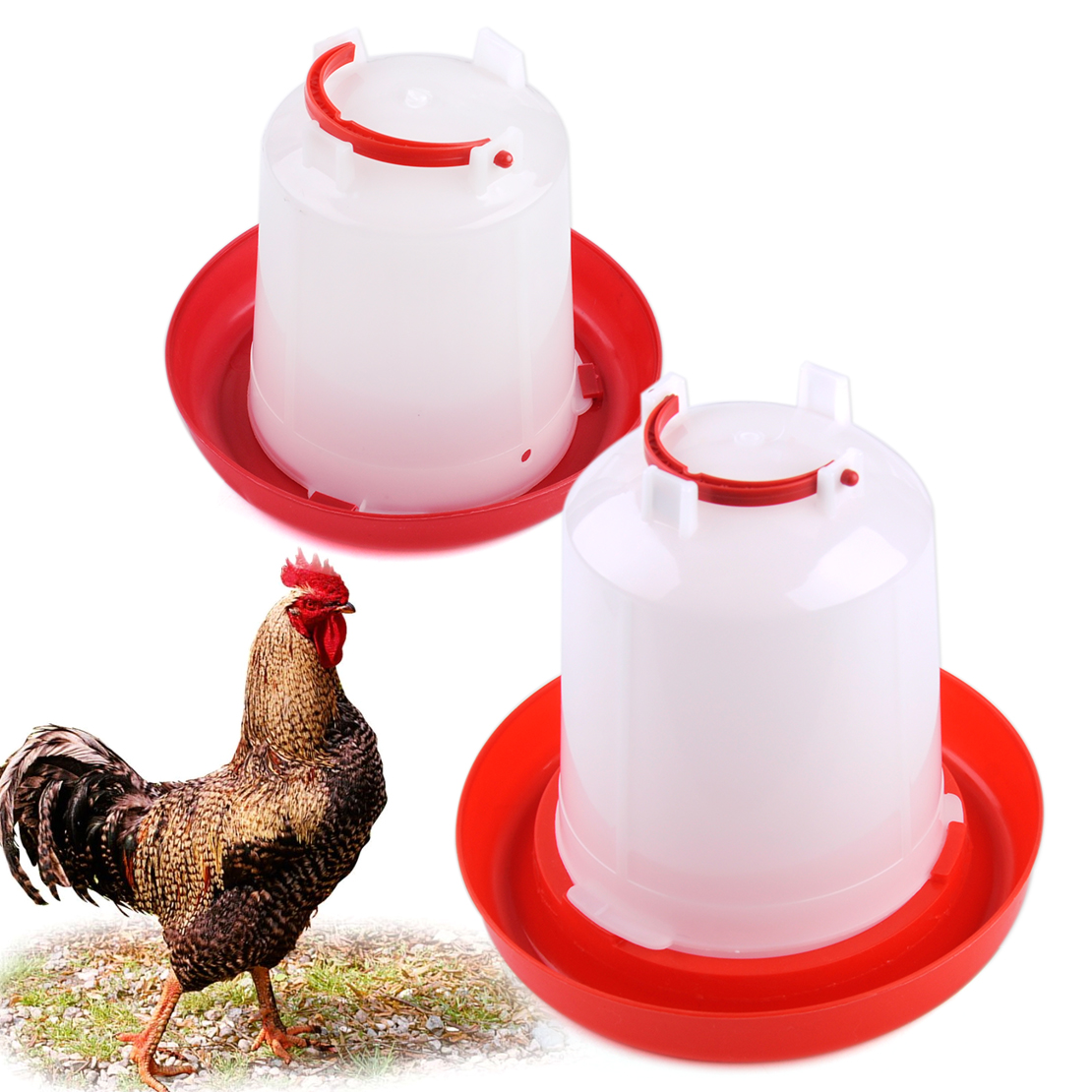 Automatic Pet Feeder Chicken Quail Poultry Bird Pheasant Feed Water Tool 30Fhm 